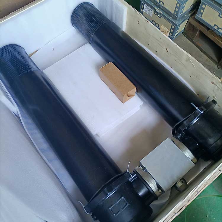 雙筒過濾器-(4)
